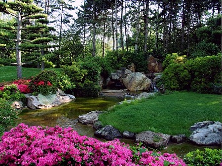 jardin